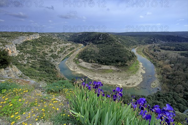 Gorges du Gardon, Gard