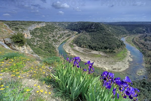 Gorges du Gardon, Gard