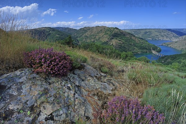 Villefort, Lozère