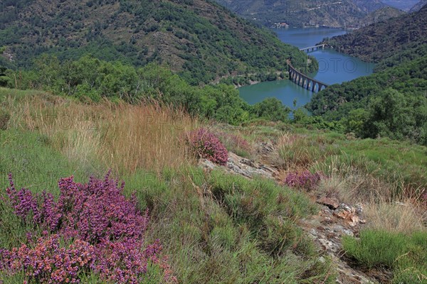 Villefort, Lozère