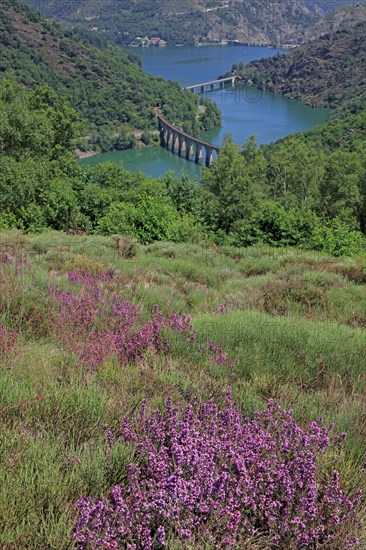 Villefort, Lozère