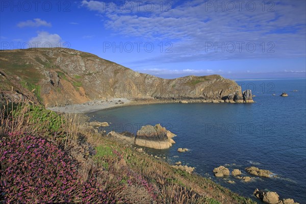 Nez de Jobourg, Manche