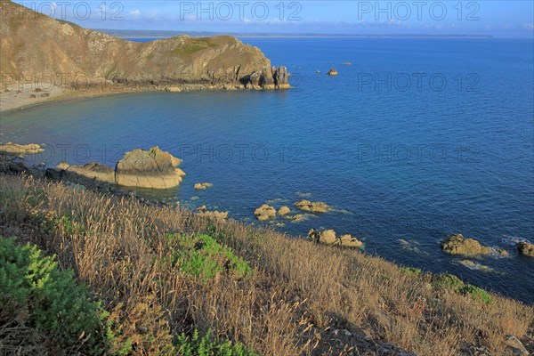 Nez de Jobourg, Manche