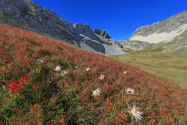 Agnières-en-Dévoluy, Hautes-Alpes