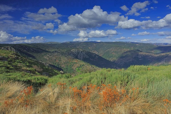 Loubaresse, Ardèche