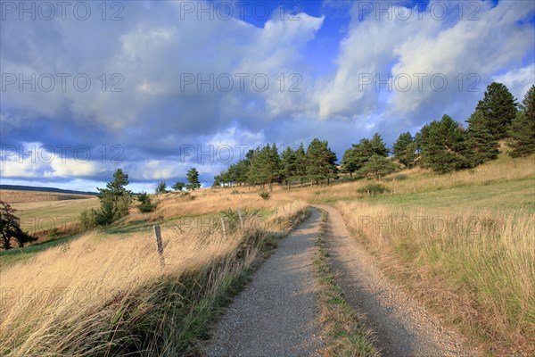 Florac, Lozère