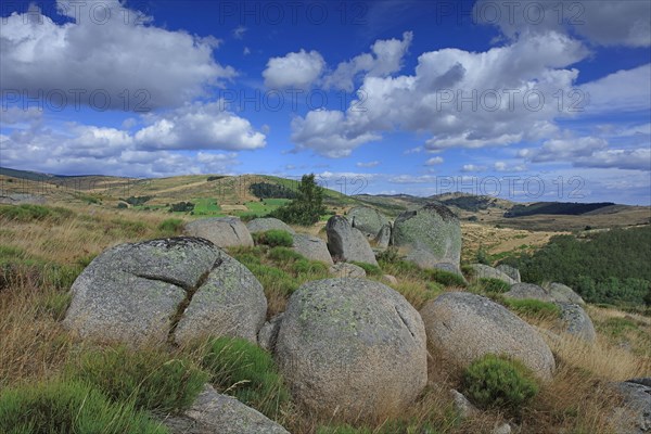 Florac, Lozère