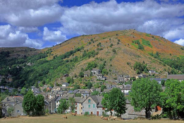 Le Pont-de-Montvert, Lozère