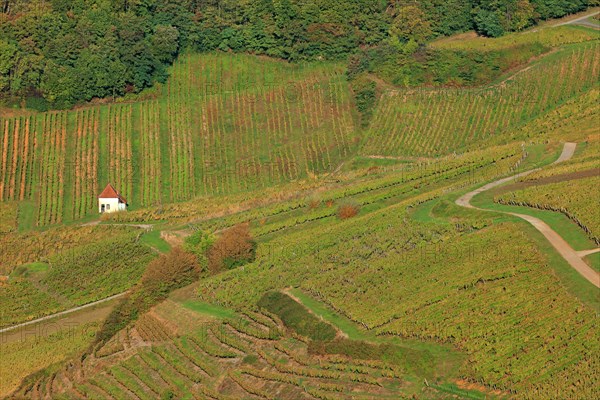 Château-Chalon, Jura