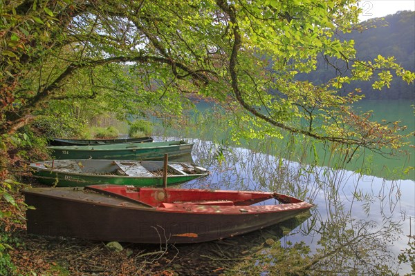 Clairvaux-les-Lacs, Jura