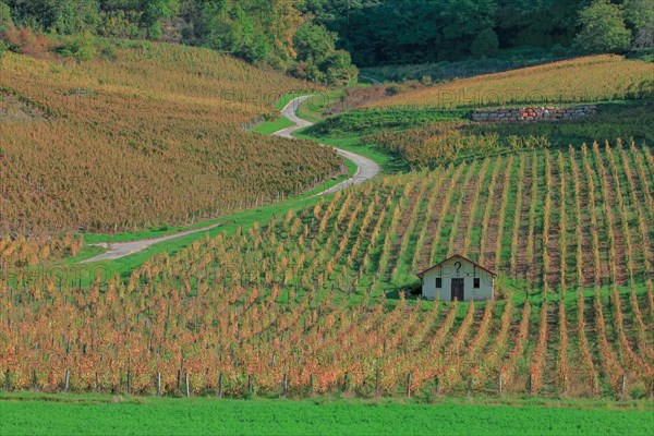 Château-Chalon, Jura