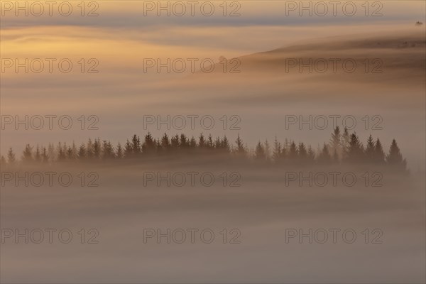 France, Finistère(29) Paysage matinal des Monts d'Arrée, parc naturel régional d'Armorique, brume, brouillard et mer de nuage / France, Finistère Early morning landscape of the Monts d'Arrée, Armorique Regional Nature Park, mist, fog and sea of clouds/