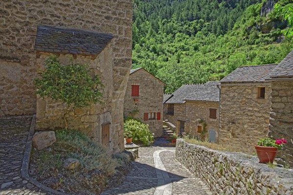 France, Lozère(48) Sainte-Enimie, vieux village de Castelbouc / France, Lozere Sainte-Enimie, old village of Castelbouc