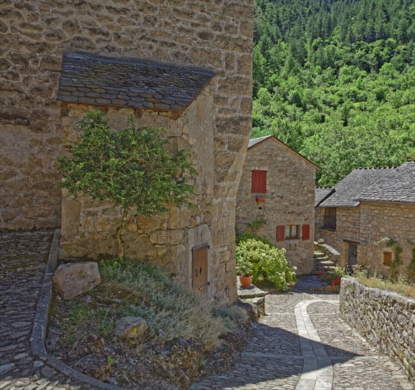 France, Lozère(48) Sainte-Enimie, vieux village de Castelbouc / France, Lozere Sainte-Enimie, old village of Castelbouc