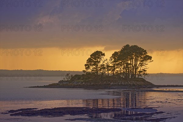 France, Finistère(29) Logonna-Daoulas, Pointe du Château, paysage maritime avec rocher couvert d'arbres au coucher du soleil / France, Finistère, Logonna-Daoulas, Pointe du Château, seascape with tree-covered rock at sunset/