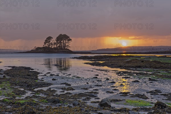 France, Finistère(29) Logonna-Daoulas, Pointe du Château, paysage maritime avec rocher couvert d'arbres au coucher du soleil / France, Finistère, Logonna-Daoulas, Pointe du Château, seascape with tree-covered rock at sunset/