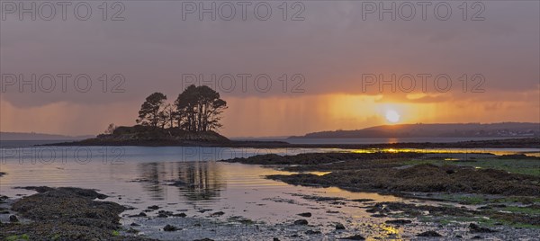 France, Finistère(29) Logonna-Daoulas, Pointe du Château, paysage maritime avec rocher couvert d'arbres au coucher du soleil / France, Finistère, Logonna-Daoulas, Pointe du Château, seascape with tree-covered rock at sunset/