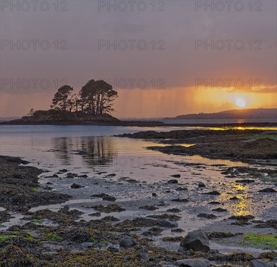 France, Finistère(29) Logonna-Daoulas, Pointe du Château, paysage maritime avec rocher couvert d'arbres au coucher du soleil / France, Finistère, Logonna-Daoulas, Pointe du Château, seascape with tree-covered rock at sunset/