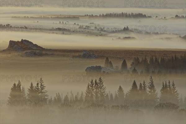 France, Finistère(29) Paysage matinal des Monts d'Arrée, parc naturel régional d'Armorique, brume, brouillard et mer de nuage / France, Finistère Early morning landscape of the Monts d'Arrée, Armorique Regional Nature Park, mist, fog and sea of clouds/