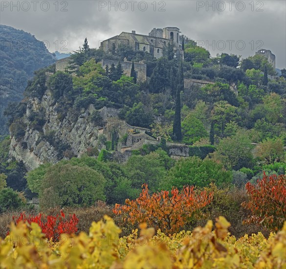 France, Vaucluse (84) Oppède, le vieux village perché vu depuis le vignoble et les vergers, en automne / France, Vaucluse Oppède, the old hilltop village seen from the vineyards and orchards, in autumn/