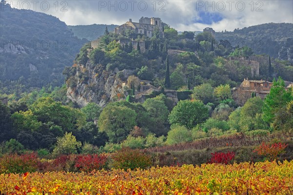 France, Vaucluse (84) Oppède, le vieux village perché vu depuis le vignoble et les vergers, en automne / France, Vaucluse Oppède, the old hilltop village seen from the vineyards and orchards, in autumn/