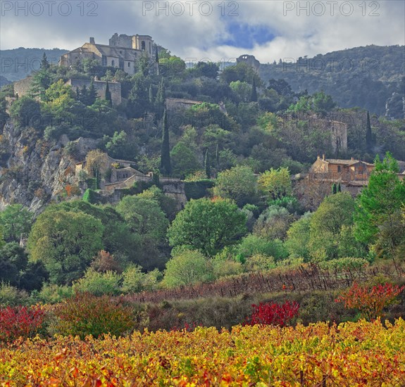 France, Vaucluse (84) Oppède, le vieux village perché vu depuis le vignoble et les vergers, en automne / France, Vaucluse Oppède, the old hilltop village seen from the vineyards and orchards, in autumn/