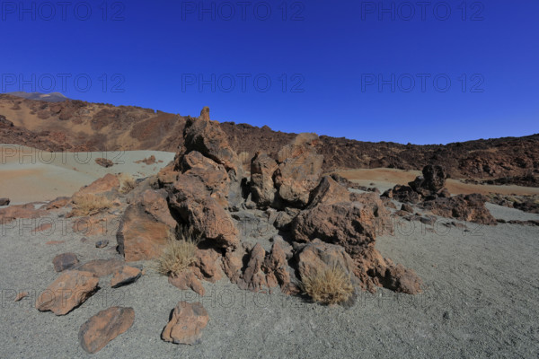 Espagne, iles Canaries, Tenerife, parc National du Teide, Las Minas de San José / Spain, Canary Islands, Tenerife, Teide National Park, Las Minas de San José /