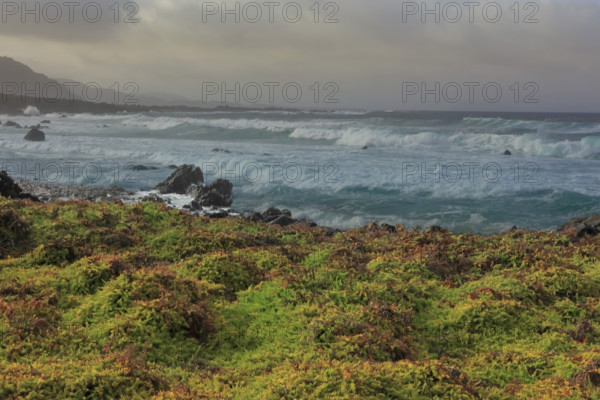 Espagne, Iles Canaries, Lanzarote, Haria, paysage cotier la playa de la Canteria à Orzola / Spain, Canary Islands, Lanzarote, Haria, coastal landscape of the playa de la Canteria in Orzola /