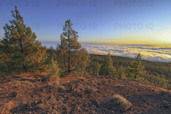 Espagne, Iles Canaries, Ténérife, Parc National Del Teide, panorama, coucher de soleil sur la mer de nuages / Spain, Canary Islands, Tenerife, Teide National Park, panorama, sunset over the sea of ??clouds. /
