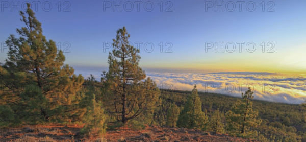 Espagne, Iles Canaries, Ténérife, Parc National Del Teide, panorama, coucher de soleil sur la mer de nuages / Spain, Canary Islands, Tenerife, Teide National Park, panorama, sunset over the sea of ??clouds. /
