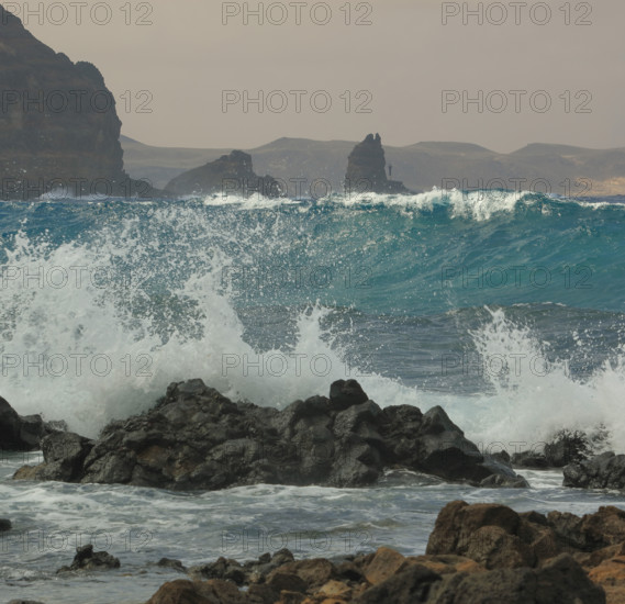 Espagne, Iles Canaries, Lanzarote, Haria, paysage cotier la Punta Fariones à  Orzola / Spain, Canary Islands, Lanzarote, Haria, coastal landscape Punta Fariones in Orzola /