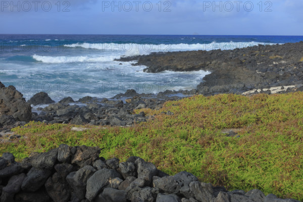 Espagne, Iles Canaries, Lanzarote, Haria, paysage cotier la galeta Gonzalès Orzola / Spain, Canary Islands, Lanzarote, Haria, coastal landscape La Galeta Gonzalès Orzola /