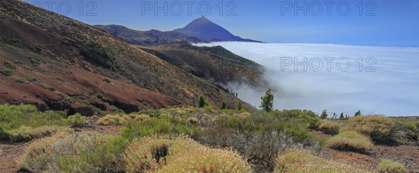 Espagne, Iles Canaries, Ténérife, Parc National Del Teide, mirador deChipeque, volcan del Teide / Espagne, Îles Canaries, Tenerife ; Parc national du Teide, point de vue de Chipeque, volcan Teide /
