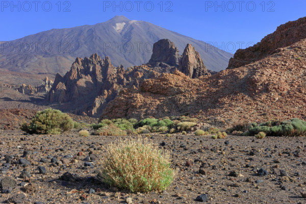 Espagne, Iles Canaries, Ténérife, Parc National Del Teide, la plaine Liano de Ucanca, au fond le volcan del Teide / Espagne, Iles Canaries, Ténérife; Parc National Del Teide, la plaine Liano de Ucanca, au fond le volcan del Teide /