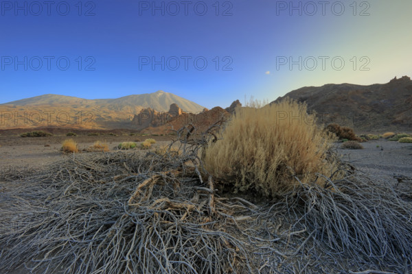 Espagne, Iles Canaries, Ténérife, Parc National Del Teide, la plaine Liano de Ucanca, au fond le volcan del Teide / Espagne, Iles Canaries, Ténérife; Parc National Del Teide, la plaine Liano de Ucanca, au fond le volcan del Teide /