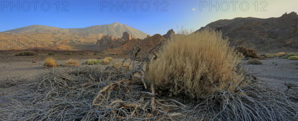 Espagne, Iles Canaries, Ténérife, Parc National Del Teide, la plaine Liano de Ucanca, au fond le volcan del Teide / Espagne, Iles Canaries, Ténérife; Parc National Del Teide, la plaine Liano de Ucanca, au fond le volcan del Teide /