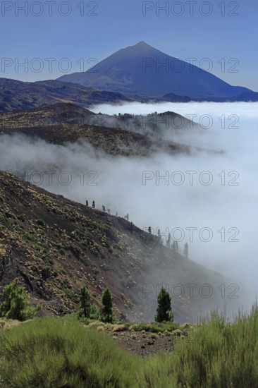 Espagne, Iles Canaries, Ténérife, Parc National Del Teide, mirador deChipeque, volcan del Teide / Espagne, Îles Canaries, Tenerife ; Parc national du Teide, point de vue de Chipeque, volcan Teide /