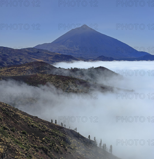 Espagne, Iles Canaries, Ténérife, Parc National Del Teide, mirador deChipeque, volcan del Teide / Espagne, Îles Canaries, Tenerife ; Parc national du Teide, point de vue de Chipeque, volcan Teide /