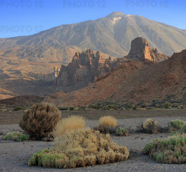 Espagne, Iles Canaries, Ténérife, Parc National Del Teide, la plaine Liano de Ucanca, au fond le volcan del Teide / Espagne, Iles Canaries, Ténérife; Parc National Del Teide, la plaine Liano de Ucanca, au fond le volcan del Teide /