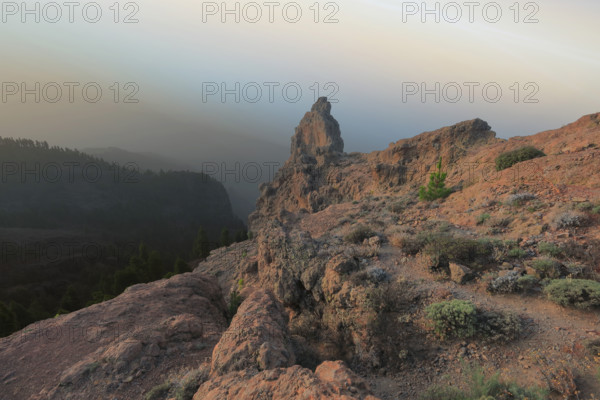 Espagne, Iles Canaries, Gran Canaria, Pic de Los Pozo de las Nieves / Espagne, Îles Canaries, Gran Canaria, Pic de Los Pozo de las Nieves /
