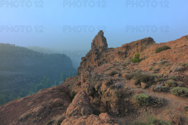 Espagne, Iles Canaries, Gran Canaria, Pic de Los Pozo de las Nieves / Espagne, Îles Canaries, Gran Canaria, Pic de Los Pozo de las Nieves /