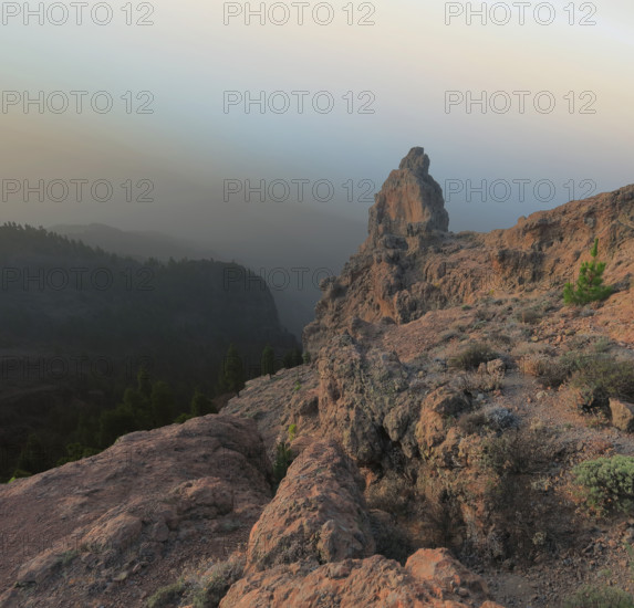 Espagne, Iles Canaries, Gran Canaria, Pic de Los Pozo de las Nieves / Espagne, Îles Canaries, Gran Canaria, Pic de Los Pozo de las Nieves /