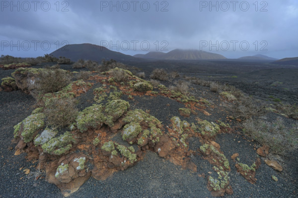 Espagne, Iles Canaries, Lanzarote, paysage volcanique, Parc Naturel de Timanfaya, réserve Biosphère UNESCO / Spain, Canary Islands, Lanzarote, volcanic landscape, Timanfaya Natural Park, UNESCO Biosphere Reserve /