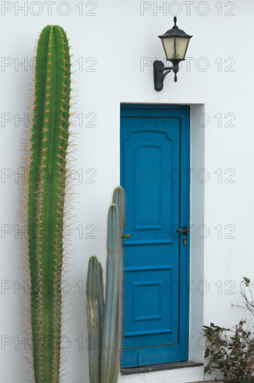 Espagne, Iles Canaries, Lanzarote, façades de maisons décorées, détails de portes colorées et fleuries / Spain, Canary Islands, Lanzarote, decorated house facades, details of colorful and flowery doors /