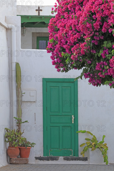 Espagne, Iles Canaries, Lanzarote, façades de maisons décorées, détails de portes colorées et fleuries / Spain, Canary Islands, Lanzarote, decorated house facades, details of colorful and flowery doors /