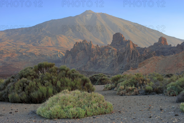Espagne, Iles Canaries, Ténérife, Parc National Del Teide, la plaine Liano de Ucanca, au fond le volcan del Teide / Espagne, Iles Canaries, Ténérife; Parc National Del Teide, la plaine Liano de Ucanca, au fond le volcan del Teide /