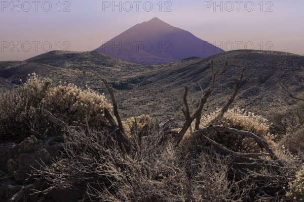 Espagne, Iles Canaries, Ténérife, Parc National Del Teide, au fond le volcan del Teide / Espagne, Iles Canaries, Ténérife; Parc National Del Teide, au fond le volcan del Teide /