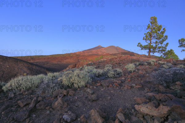 Espagne, Iles Canaries, Ténérife; Parc National Del Teide, volcan del Teide au coucher du soleil / Spain, Canary Islands, Tenerife; Teide National Park, Teide volcano at sunset /