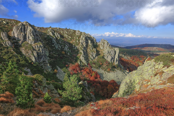 France, Gard(30) Cévennes, le mont Lozère, rocher de l'Aigle, paysage en automne / France, Gard, Cévennes, Mont Lozère, Eagle Rock, autumn landscape /