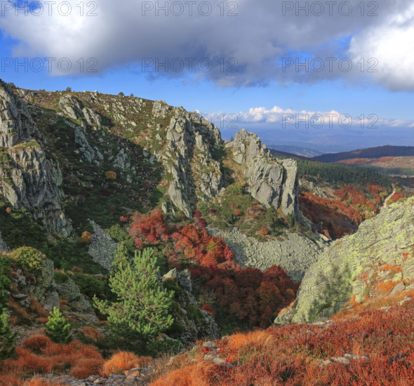 France, Gard(30) Cévennes, le mont Lozère, rocher de l'Aigle, paysage en automne / France, Gard, Cévennes, Mont Lozère, Eagle Rock, autumn landscape /